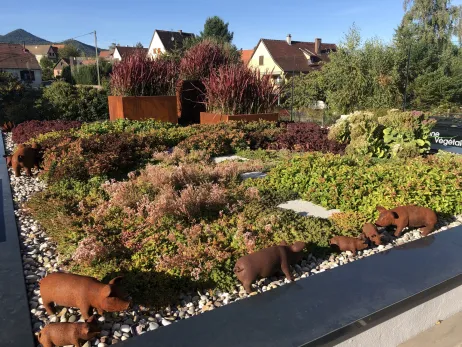 Toiture végétalisé et bacs en Corten
