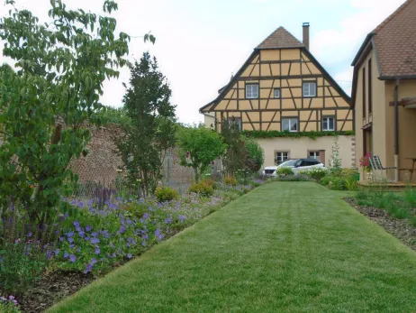 Plantation d'arbustes + engazonnement