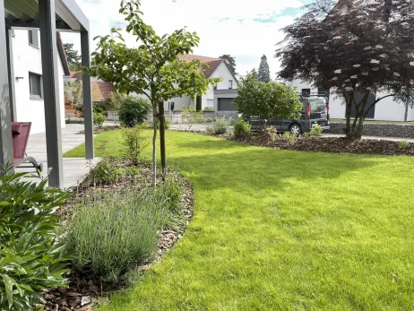 Engazonnement + réalisation de plates-bandes à partir d'arbustes à fleurs et de vivaces + voliges séparatives