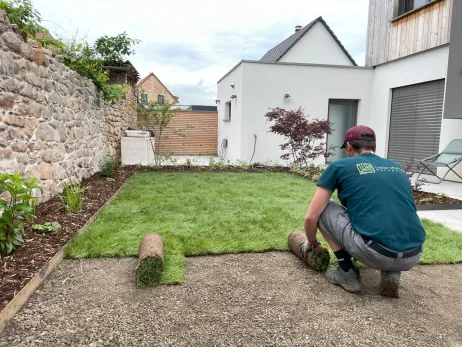 Installation d'un gazon de placage + installation de lisse métalliques en périphérie des plantations
